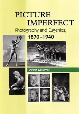 Picture Imperfect - Maxwell
