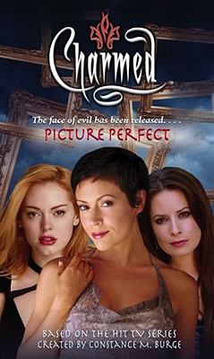 Picture Perfect - Dokey, Cameron, and Burge, Constance M (Creator)