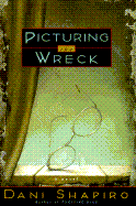 Picturing the Wreck-P351661/3 (Nxtrep)