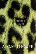 Pieces of Light