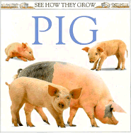 Pig - Ling, Mary (Editor), and Ling, Bill (Photographer)