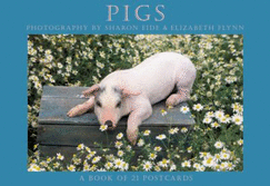 Pigs Postcard Book - Browntrout Publishers (Manufactured by)