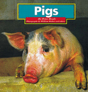 Pigs - Brady, Peter