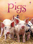 Pigs