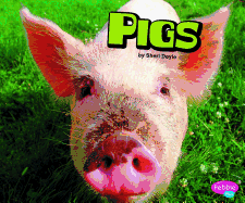 Pigs