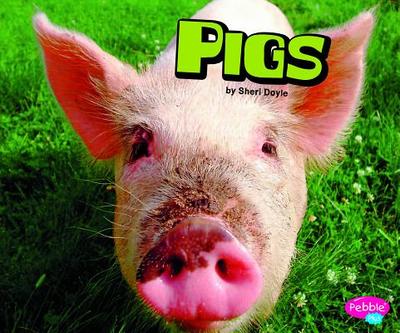 Pigs - Doyle, Sheri
