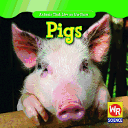 Pigs