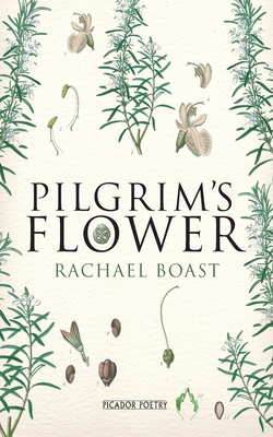 Pilgrim's Flower - Boast, Rachael