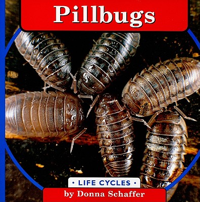 Pillbugs - Schaffer, Donna