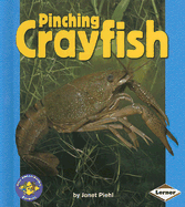 Pinching Crayfish