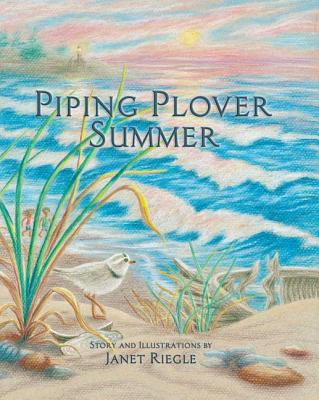 Piping Plover Summer - 