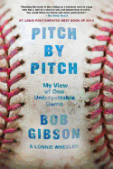 Pitch by Pitch: My View of One Unforgettable Game