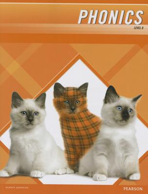 Plaid Phonics 2011 Word Study Student Edition Level D - 