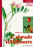 Plains and Foothills