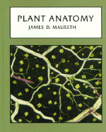 Plant Anatomy