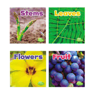 Plant Parts