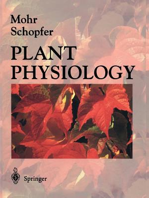 Plant Physiology - Mohr, Hans (Editor), and Lawlor, G. (Translated by), and Schopfer, Peter (Editor)