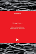 Plant Roots