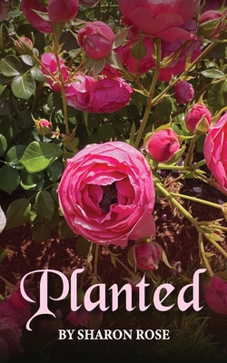Planted - Rose, Sharon