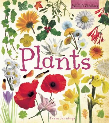 Plants - Jennings, Terry J