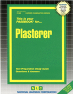 Plasterer: Volume 589