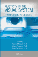 Plasticity in the Visual System: From Genes to Circuits