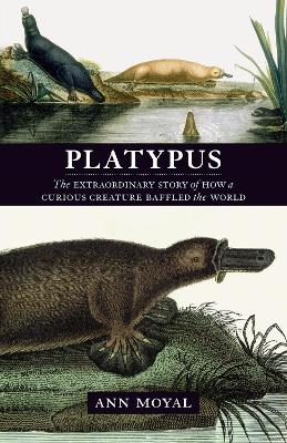 Platypus - Moyal, Ann