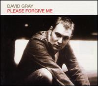 Please Forgive Me [CD] - David Gray