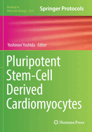 Pluripotent Stem-Cell Derived Cardiomyocytes