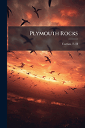 Plymouth Rocks