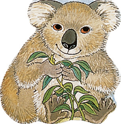 Pocket Koala - 