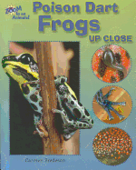Poison Dart Frogs Up Close
