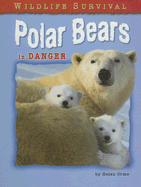 Polar Bears in Danger