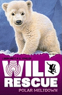 Polar Meltdown