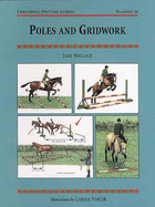 Poles and Gridwork: 22 More Outrageously Unique Knitting Patterns