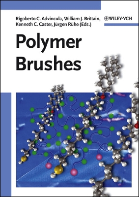 Polymer Brushes: Synthesis, Characterization and Applications - Advincula, Rigoberto C (Editor), and Brittain, William J (Editor), and Caster, Kenneth C (Editor)