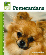 Pomeranians