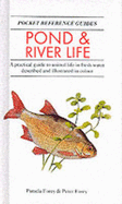 Pond and River Life