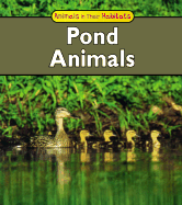 Pond Animals