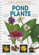 Pond Plants