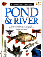 Pond & River