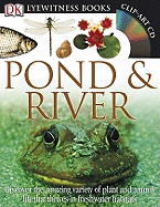 Pond & River