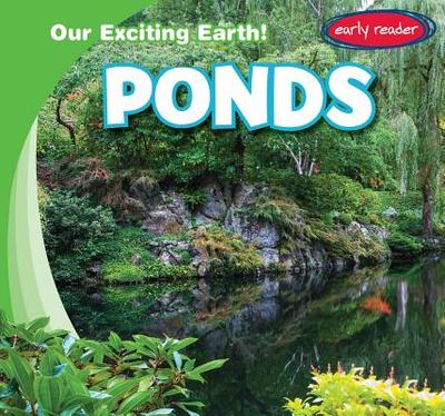 Ponds - Youssef, Jagger