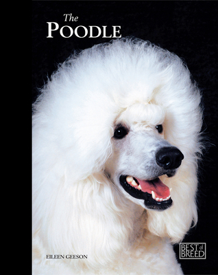 Poodle - Geeson, Eileen