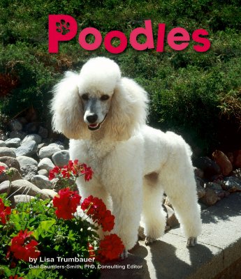 Poodles - Trumbauer, Lisa