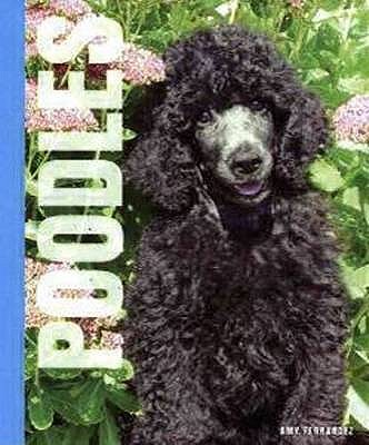 Poodles - Fernandez, Amy