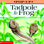 Pop-Up Tadpole to Frog - Rodger, Elizabeth