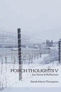 Porch Thoughts V: Ice, Snow & Reflection