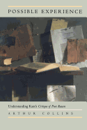 Possible Experience: Understanding Kant's Critique of Pure Reason