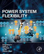 Power System Flexibility